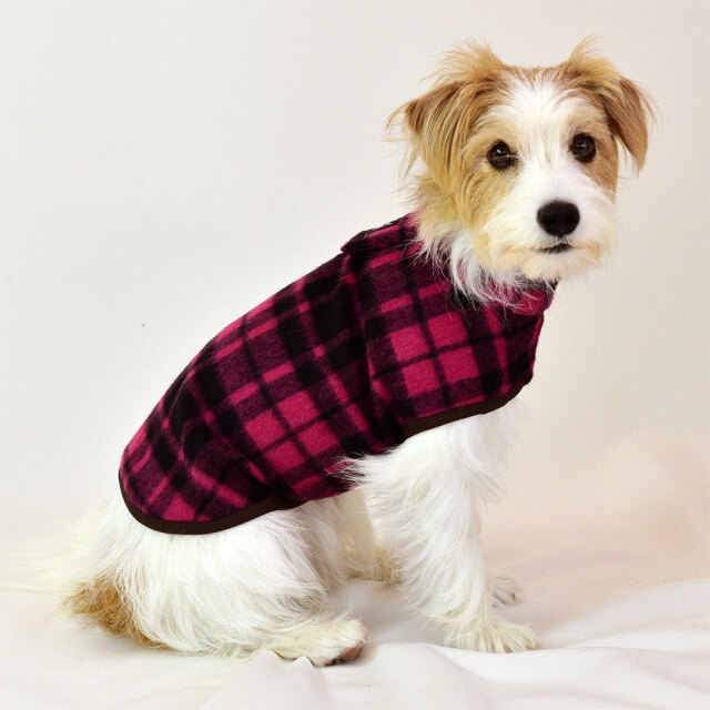 ラズベリーライトコート