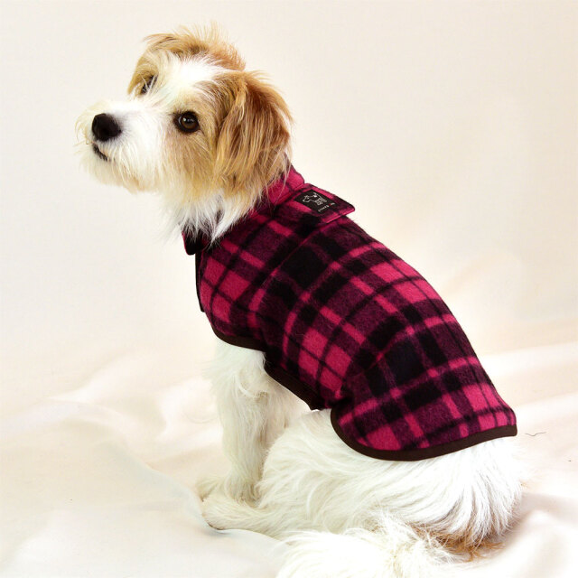 ラズベリーライトコート