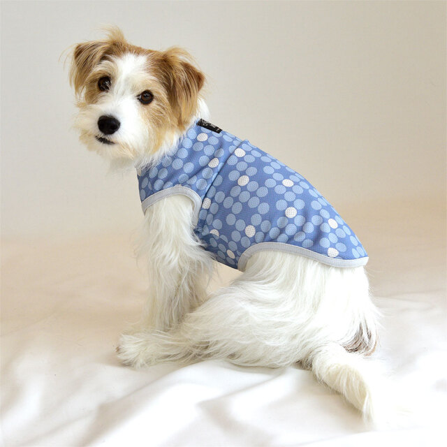 クールドットノースリーブ