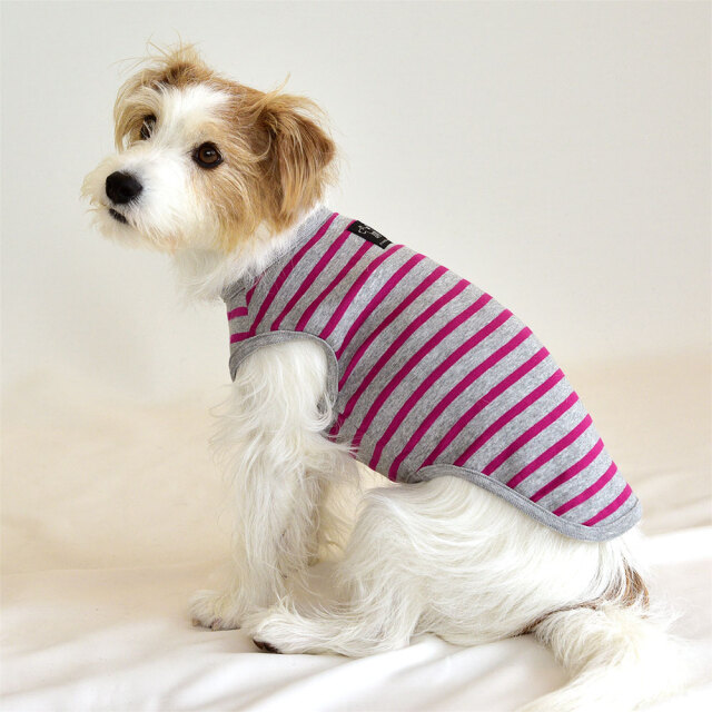 サマーボーダーノースリーブ