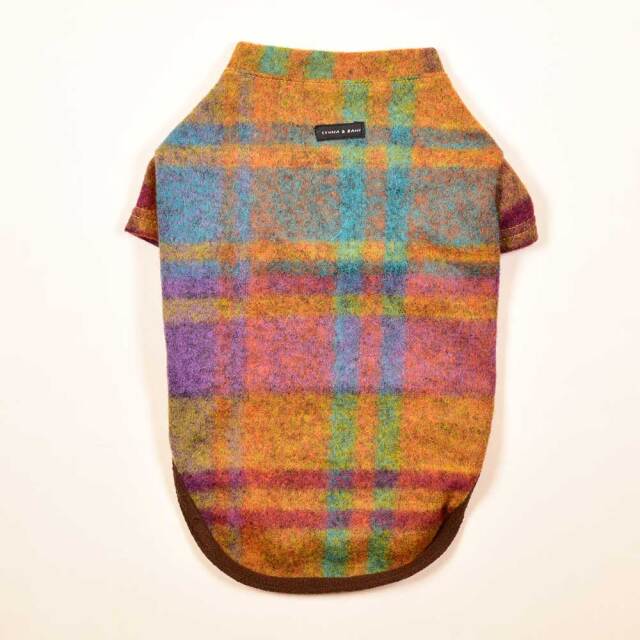 フォレストTシャツ