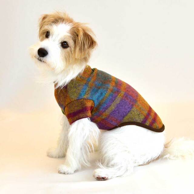 フォレストTシャツ