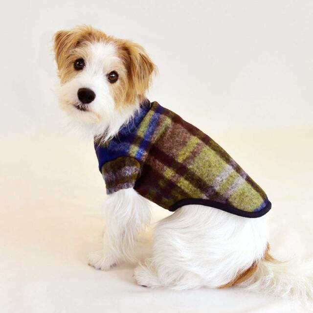 フォレストTシャツ