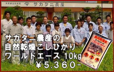 サカタニ農産の自然乾燥こしひかり　ワールドエース１０ｋｇ