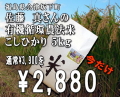 福島県会津坂下町　佐藤真こしひかり　５ｋｇ