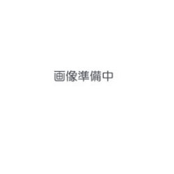 スチールラックブックエンドW900、1200タイプ共通 RAシリーズオプション RA-T6545-B 幅650×奥行395×高さ183mm