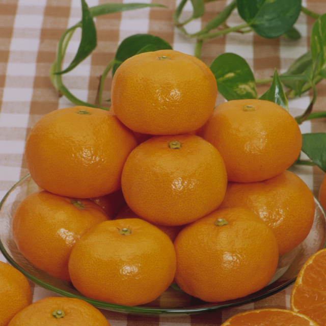 香川県産 曽保みかん ご家庭用5kg(S～Lサイズ) 【811】