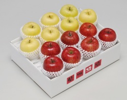 信州産 サンふじ＆シナノゴールド5kg(各7～9玉) 【727】