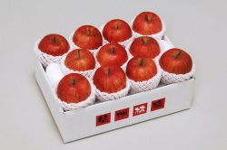 信州産 サンふじ秀品3kg(8～11玉)  【582】