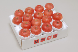 信州産 サンふじ秀品5kg(14～18玉)  【604】