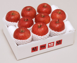 信州産 蜜入りサンふじ3kg