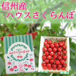 ハウスさくらんぼ