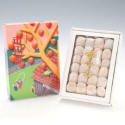 信州産 市田柿700g 化粧箱 【830】