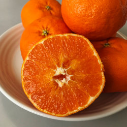 愛媛県産 甘平(かんぺい) 約5kg(18～28玉) 【031】