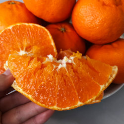 愛媛県産 甘平(かんぺい) 約3kg(9～17玉) 【030】