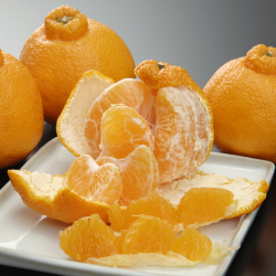 トップオレンジ2.5kg