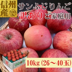 信州産 サンふじ家庭用10kg(26～40玉) 【669】