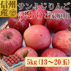 信州産 サンふじ家庭用5kg(13～20玉) 【667】