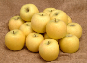 信州産 シナノゴールド秀品3kg(8～10玉) 【560】 10月下旬～