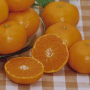 香川県産 曽保みかん ご家庭用3kg(S～Lサイズ) 【810】