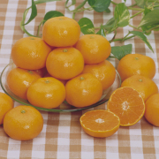 香川県産 曽保みかん ご家庭用10kg(S～Lサイズ) 【812】