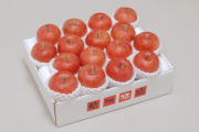 信州産 サンふじ秀品5kg(14～18玉)  【675】