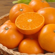 愛媛県産 せとか約5kg(20～30玉前後) 【036】