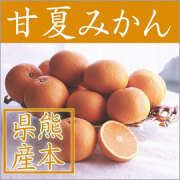 熊本県産 甘夏みかん優L 10kg(約30玉) 【058】