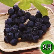 頒布会（巨峰）