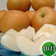 頒布会（南水梨）