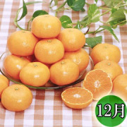 頒布会（温州みかん）