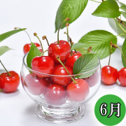 頒布会（さくらんぼ）