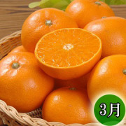 頒布会（せとか）