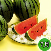 頒布会（小玉すいか）