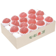 渡辺4.5kg