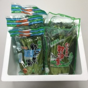 野沢菜2種
