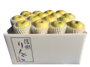 信州産 王林 10kg(28～36玉) 【702】
