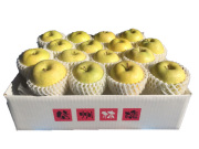 信州産 王林 5kg(14～18玉) 【701】