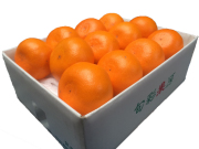 愛媛県産 せとか約2.5kg(10～15玉前後) 【035】