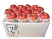 信州産 サンふじ秀品10kg(28～36玉) 【679】