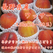 信州産 ワッサー4.5kg(15～20玉) 【186】
