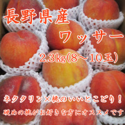 信州産 ワッサー2.3kg(7～10玉) 【185】