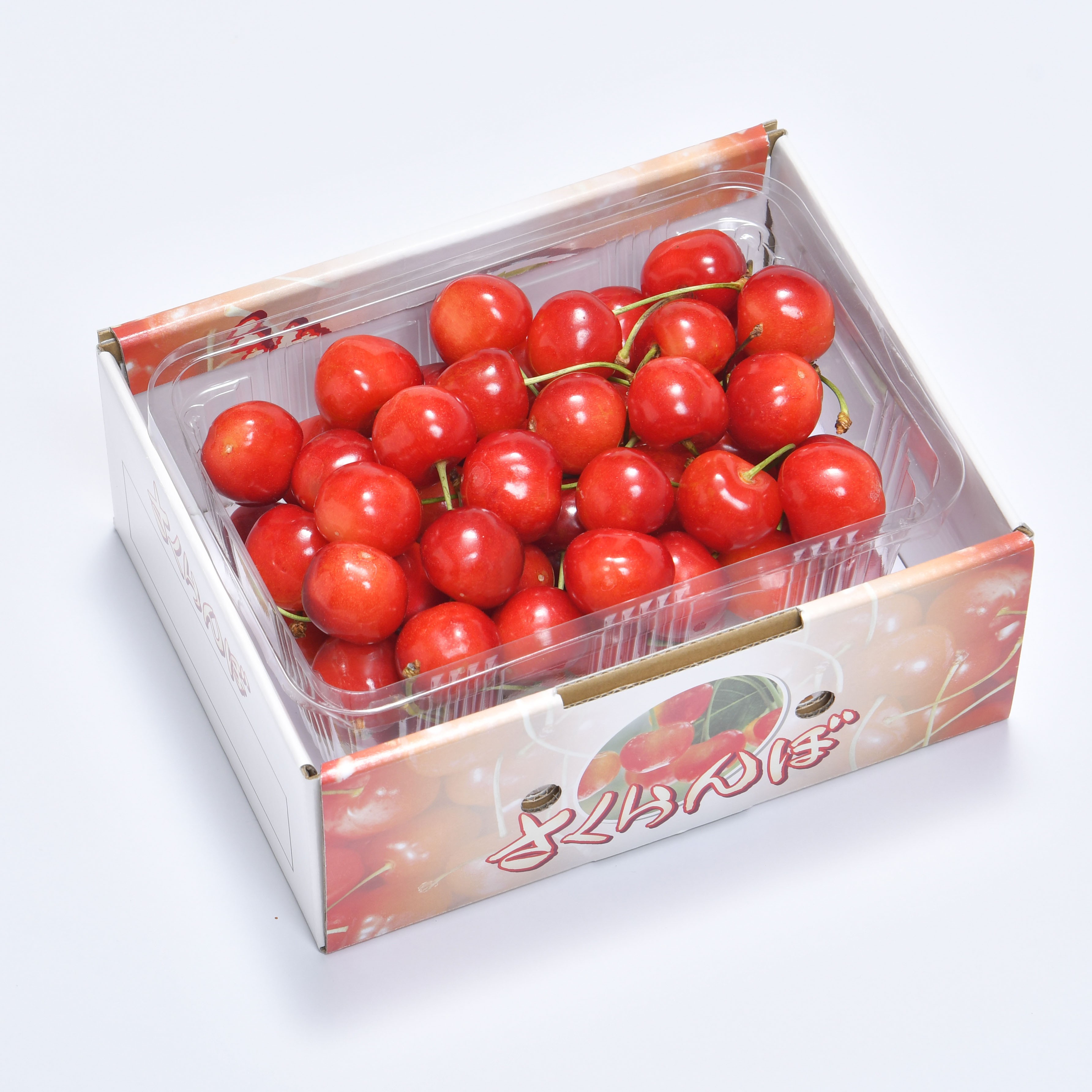 信州産 岩井さんのさくらんぼ 佐藤錦 特大粒(2Lサイズ) 500g 【075】