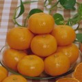 香川県産 曽保みかん ご家庭用5kg(S～Lサイズ) 【913】