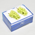 信州産 ハウスシャインマスカット 約900g(2房) 【241】　(化粧箱)