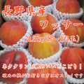 信州産 ワッサー2.3kg(7～10玉) 【185】