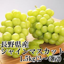 信州産 シャインマスカット 1.5kg(2～3房) 【392】　9月下旬頃～