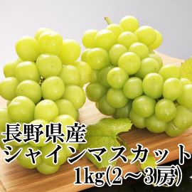 信州産 シャインマスカット 1kg(2～3房) 【390】　9月下旬頃～
