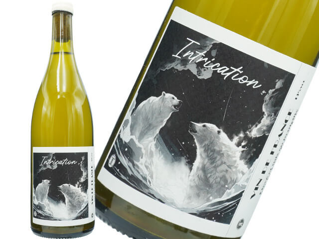 Johan Tete　ジョアン・テット　/　Intrication アントリケーション　2022