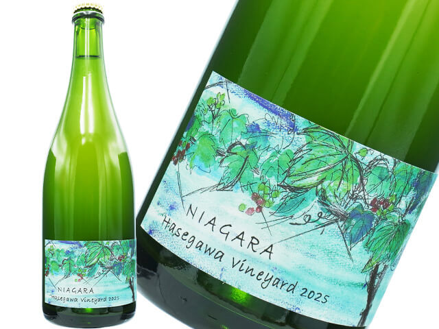 さっぽろ藤野ワイナリー NIAGARA Hasegawa Vineyard / ナイヤガラ